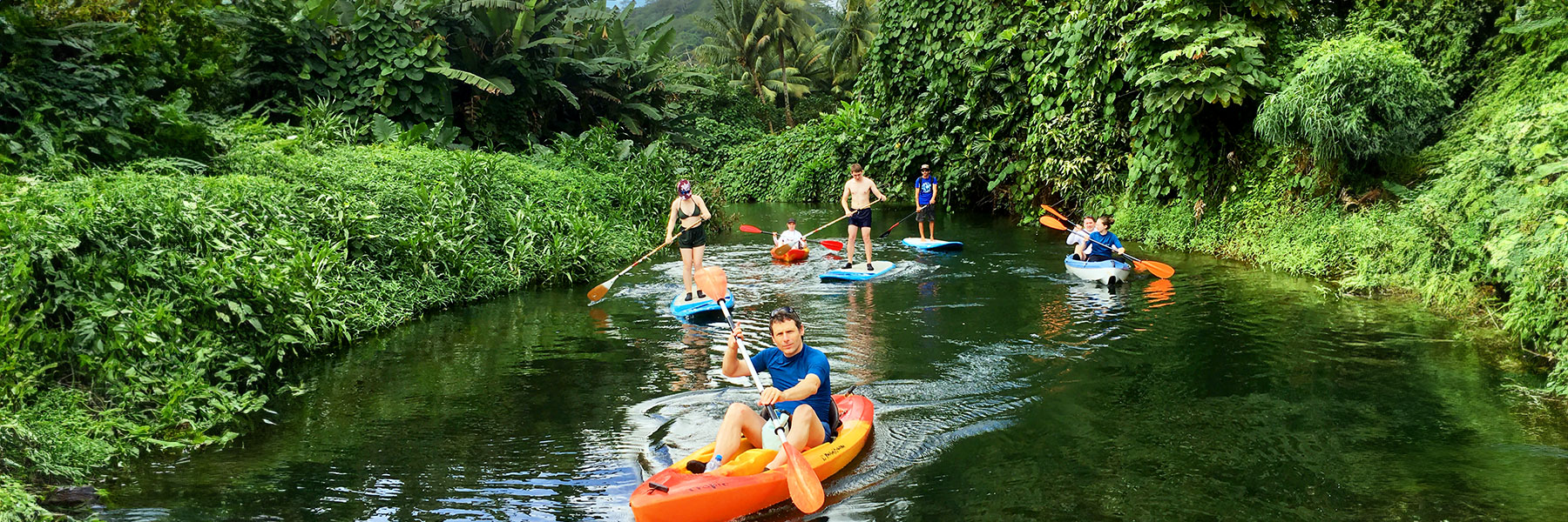 Kayaks and Paddles on Faaroa river