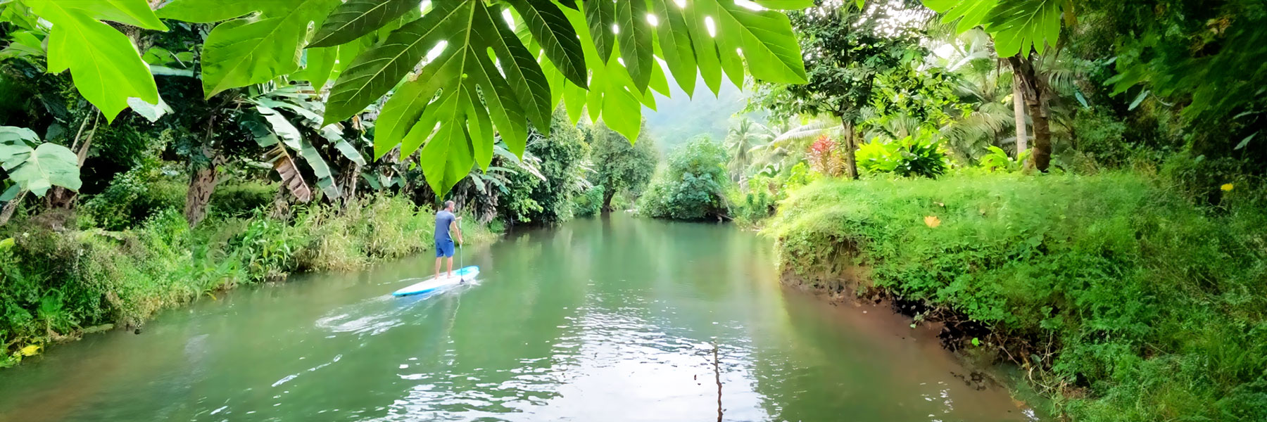 Stand‑Up Paddle on the Faaroa River
